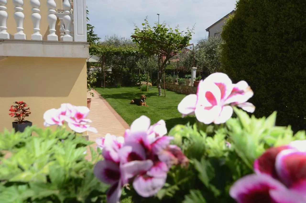 Apartments Ederina أوماغ